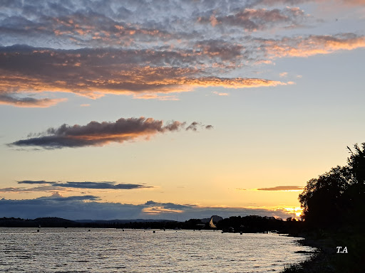 Mettnau - Thumbnail