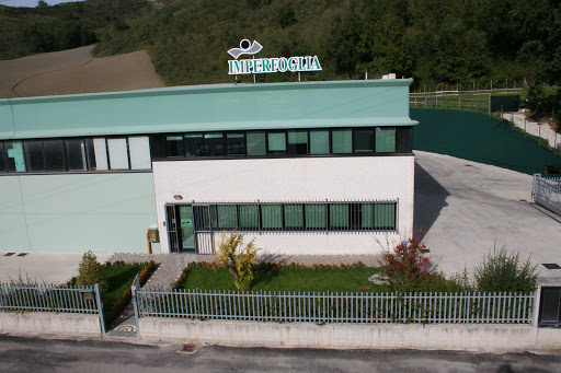 Imperfoglia S.r.l.