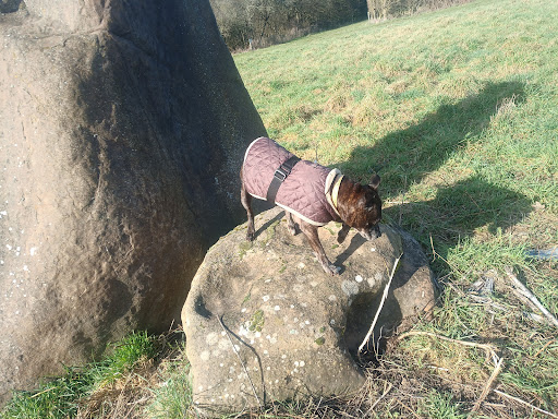 Standing stone - Thumbnail