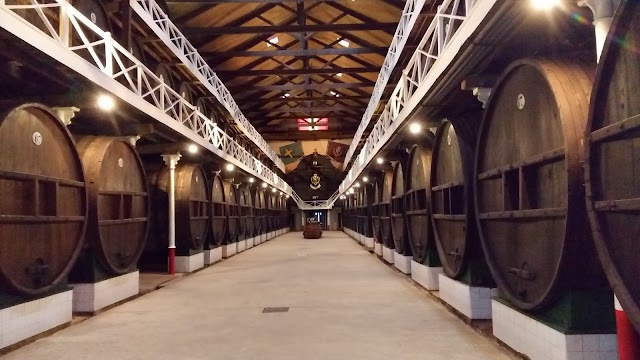 Sidra El Gaitero