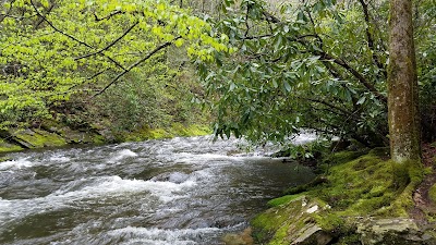 Cataloochee Campground