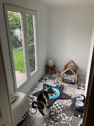 Photo n°29 de Pension pour Chats - Le monde de Gribouille -76 à Rives-en-Seine (Pension pour chats)