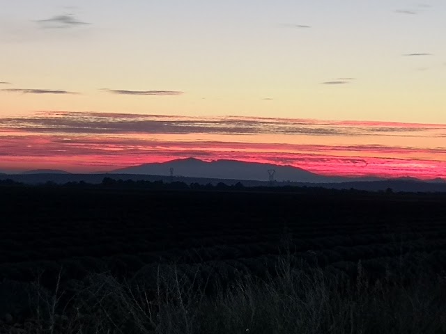 Plateau de valensole