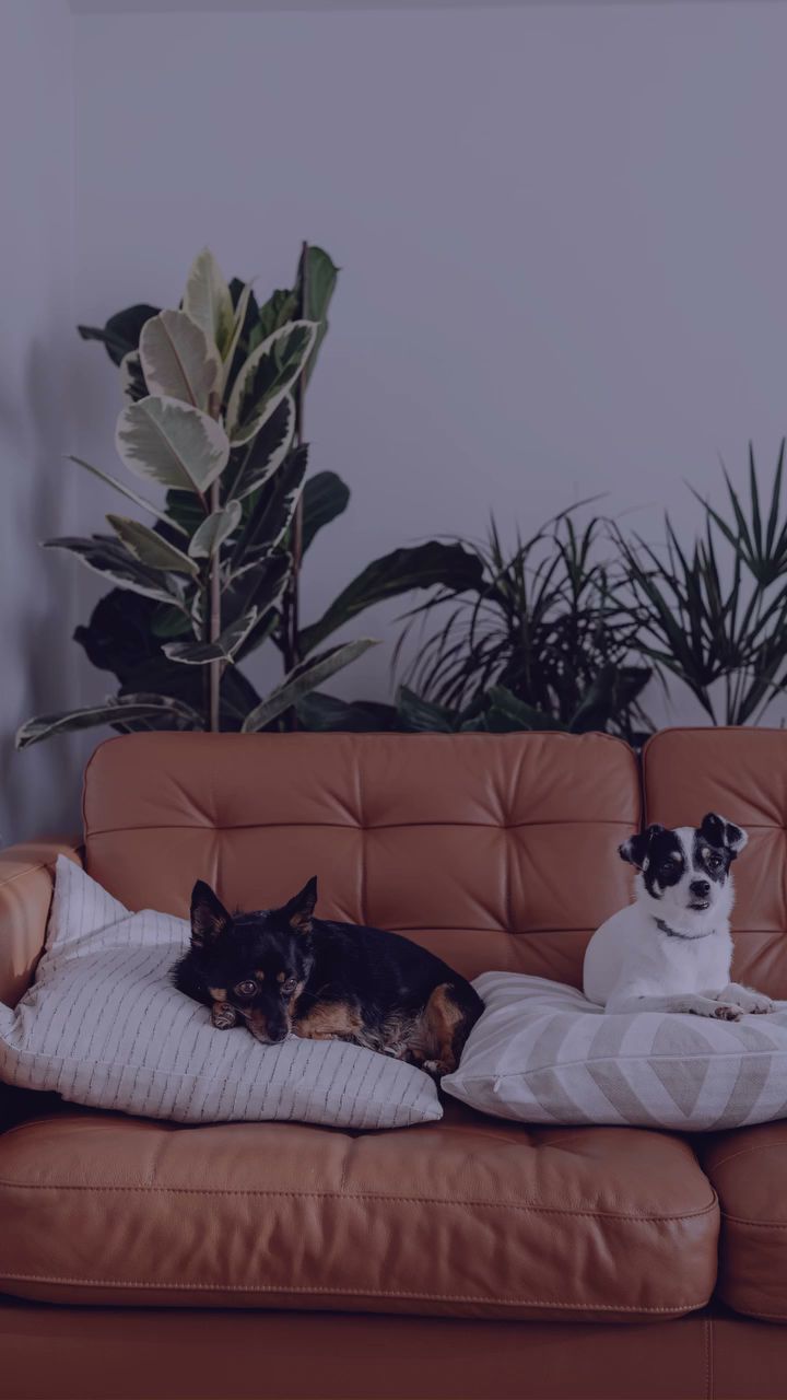 株式会社リーフ環境企画