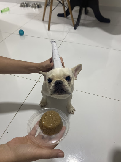 Tia Paula Creche, Hotel e Pet Sitter