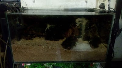 Photos of Irel Aquarium