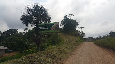 Photos of PetrOriental
