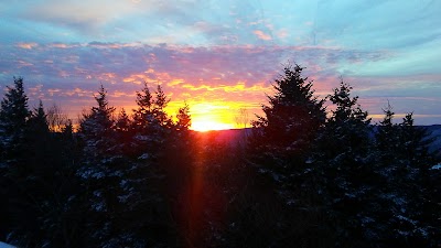Photos of Rimfire