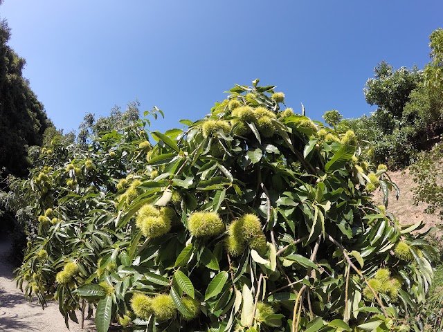 Botanical Park & Gardens Of Crete