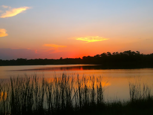 George LeStrange Preserve - Visual