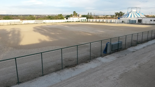 Stadio ALLISTE - Visual