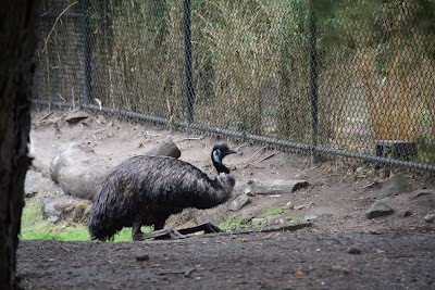 Woodland Park Zoo