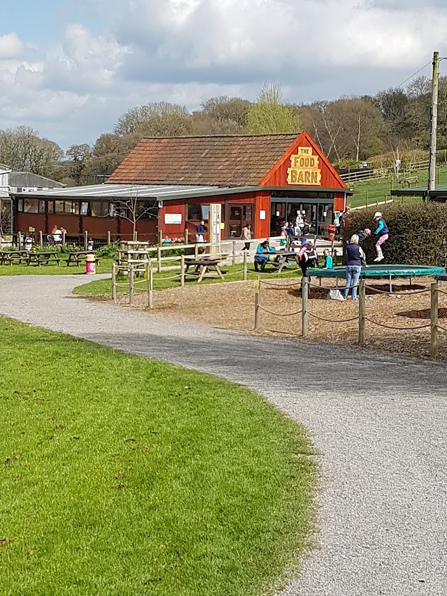 Noah's Ark Zoo Farm