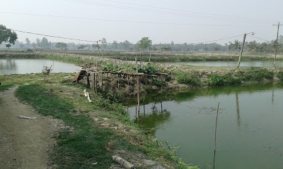 Photos of Chachua Bazar Bus Stop