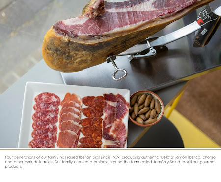 Llerena Spanish Tapas Bar & Restaurant – Islington, London by null