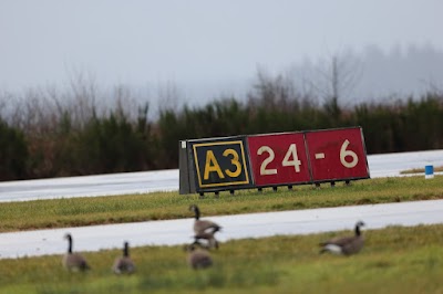 Bowerman Airport