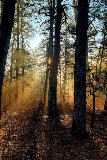 Mullica River Beach Gallery - United States