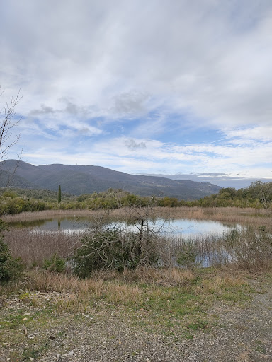 Laghetto di Caselli