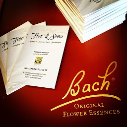 Photo n°3 de Flor' & Sons - Fleurs de Bach - Sonothérapie à Groisy (Coaching professionnel)