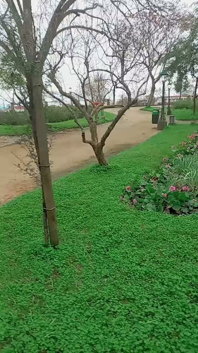 Avaliações doJardim Público de Évora em Évora - Campo de futebol
