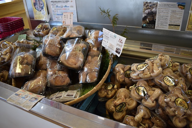 石窯パン工房 恵那峡