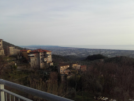 Tosi Francesca - Thumbnail