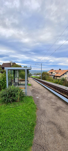 Sandbüchel - Visual