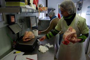 Photo n°7 de La Ferme de la Fontenelle à Juillé (Ferme d'élevage)
