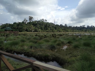 Photos of Luagan Park