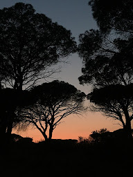 Photo n°17 de COTE D'AZUR POLO CLUB à Puget-sur-Argens (Club de Polo)