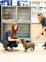 Photo n°4 de Orciane - Clinique Vétérinaire - Centre Référé Exclusif à Vandoeuvre-lès-Nancy (Clinique vétérinaire)
