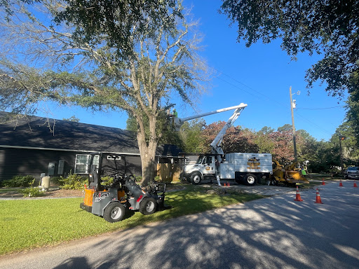 Premier Services Tree & Stump removal - Thumbnail