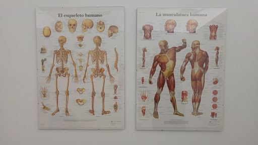 Zona Terapia - Thumbnail