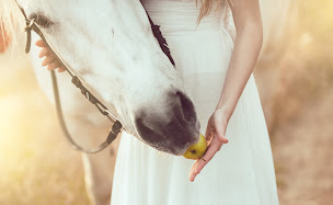 Photo n°46 de LES PRAIRIES DE L'ENCRÊME à Céreste-en-Luberon (Organisateur de mariages)