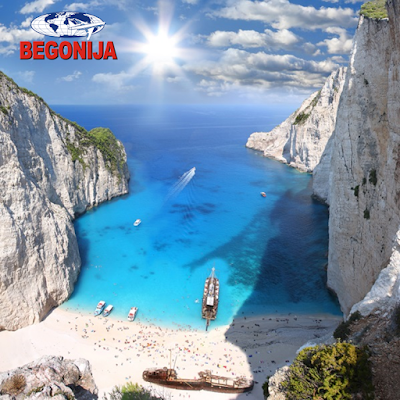 Photos of Begonija