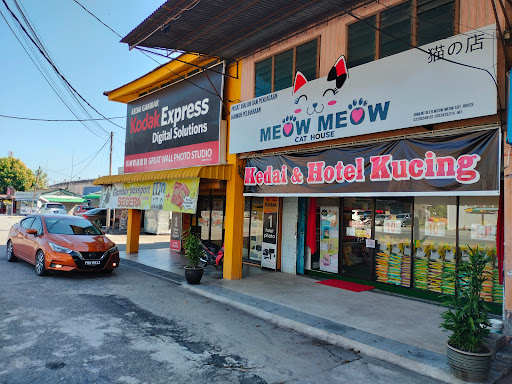 Meow Meow Cat House
