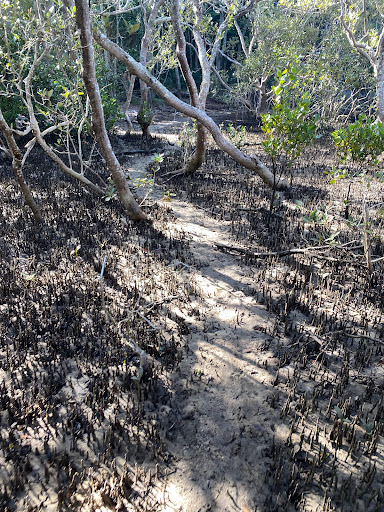 Prince of Wales Walking Track - Thumbnail