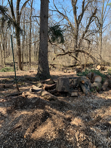 Stump King Stump Removal - Thumbnail