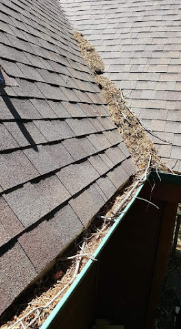 View of Gutterdone in  - Verified Gutter Cleaning Service near me.