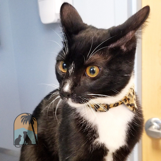 La Cumbre Animal Hospital - Thumbnail