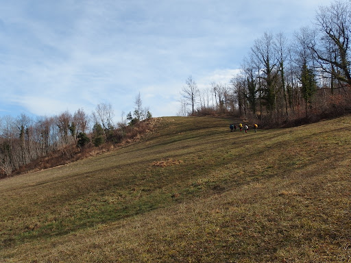 Poggio Calanco - Visual