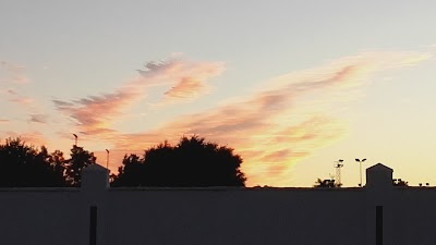 Photos of Parque Municipal