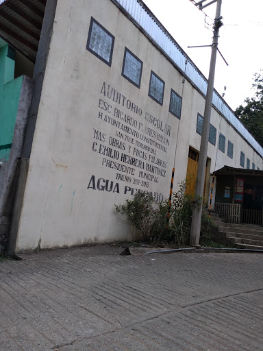 Escuela Primaria y Kinder (Preescolar) Agua Pescado Tenango Gallery - Mexico