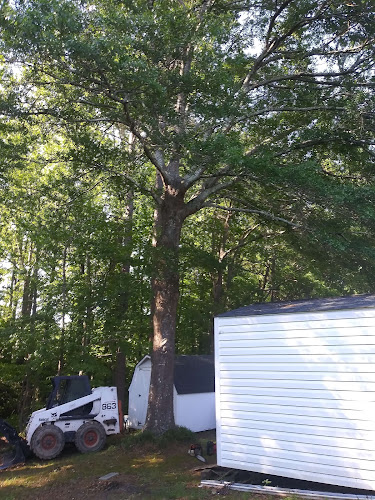 Honea Tree Service