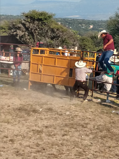Plaza De Toros Don Tomas - Thumbnail