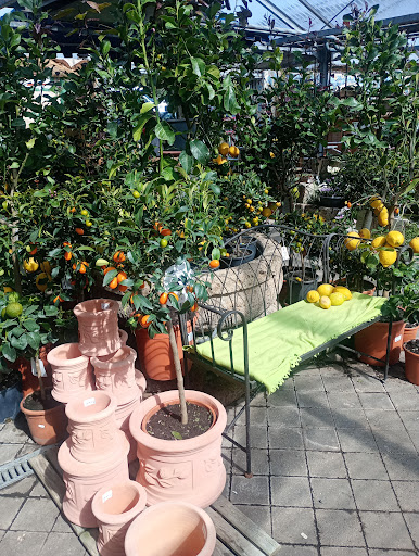 1A GARTEN HAUNER - Thumbnail