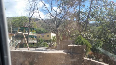 park