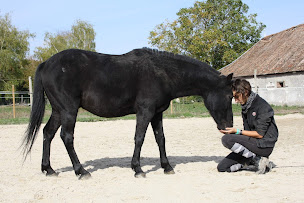 Photo n°2 de Aube E'Crins - Equithérapie à Vallant-Saint-Georges (Praticien de médecine alternative)