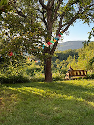 Photo n°21 de Satya Yoga Ashram | École de Yoga Traditionnel en France et en Inde à Simiane-la-Rotonde (Professeur de yoga)