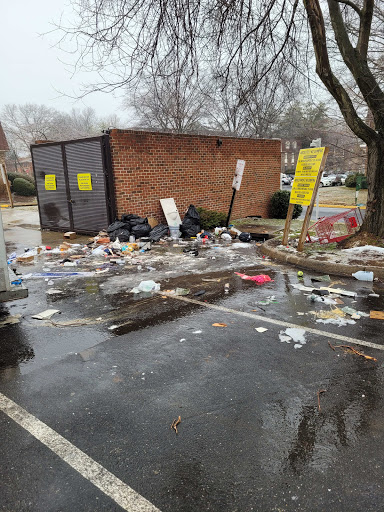 Moving Junk - Visual